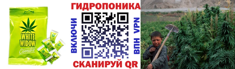 где найти   Екатеринбург  Печенье с ТГК конопля 