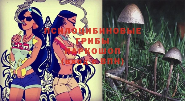 mdma Горняк
