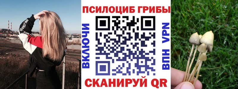 Галлюциногенные грибы прущие грибы  купить наркотики сайты  Екатеринбург 